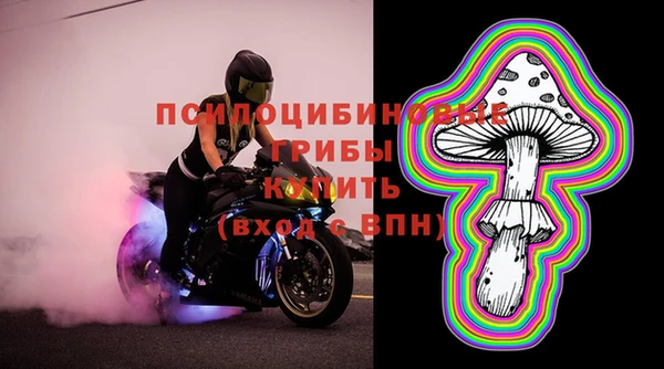 амф Алексин