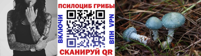 Галлюциногенные грибы GOLDEN TEACHER  Спасск 